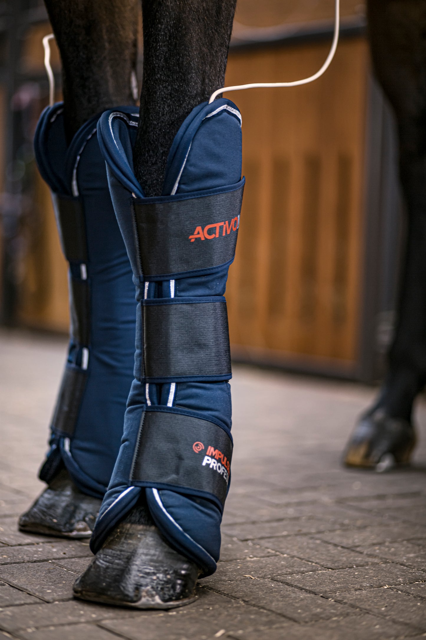 IMPULSELINE Professional gamasjer (PEMF) – frontkomponent