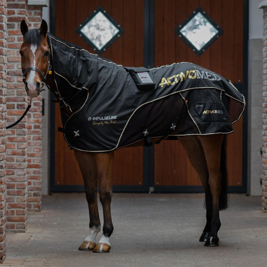 IMPULSELINE Carbon – Simply The Best – inkl. gamasjer