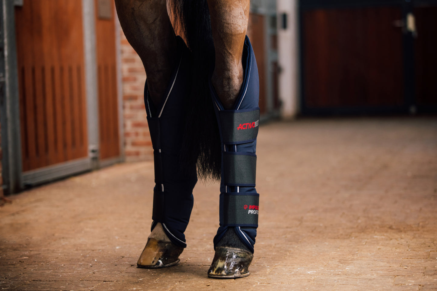 IMPULSELINE Professional gamasjer (PEMF) – bakkomponent