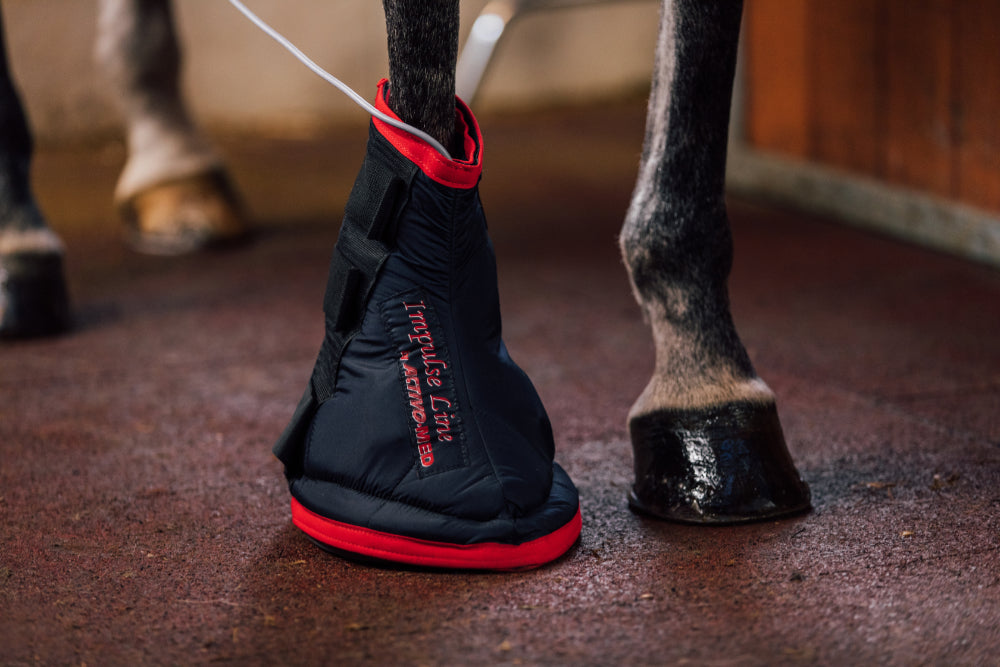 IMPULSELINE Hoof Boot