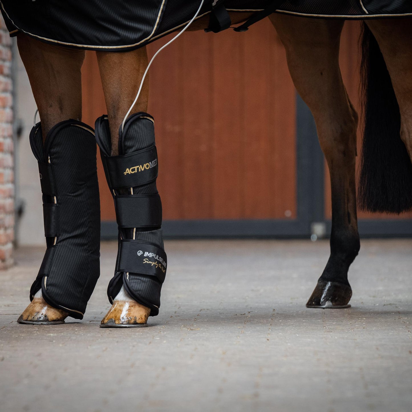 IMPULSELINE Carbon – Simply The Best – inkl. gamasjer