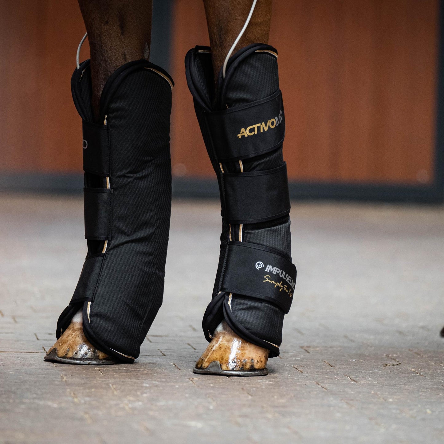 IMPULSELINE Carbon – Simply The Best – inkl. gamasjer